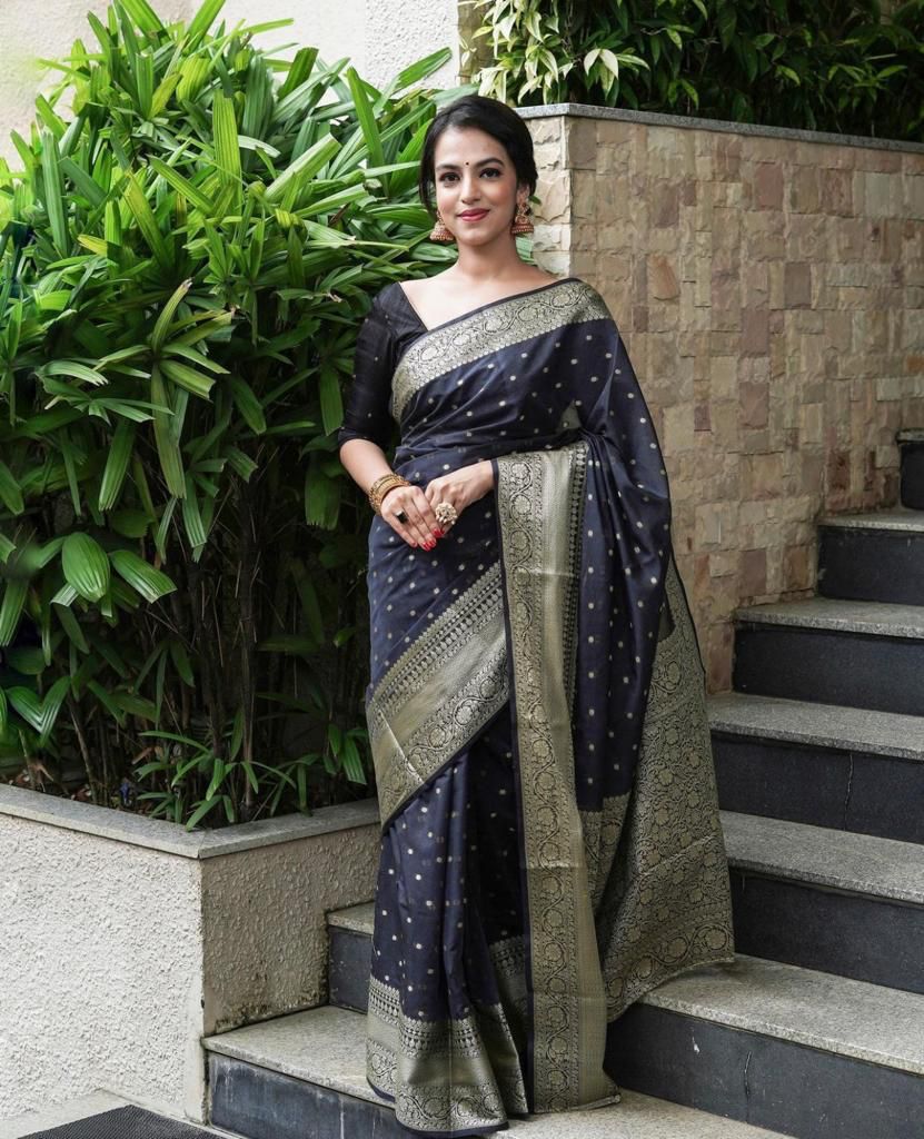 Black Silk Woven Banarasi Saree