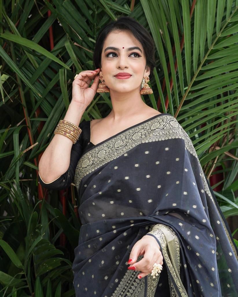 Black Silk Woven Banarasi Saree