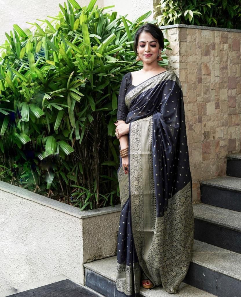 Black Silk Woven Banarasi Saree