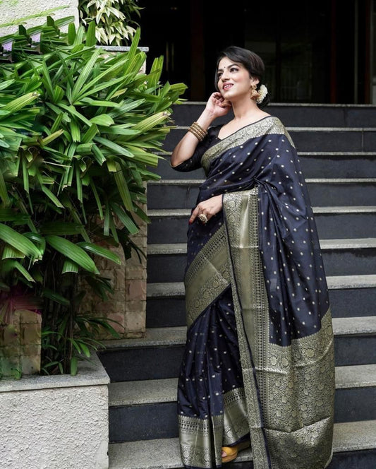 Black Silk Woven Banarasi Saree