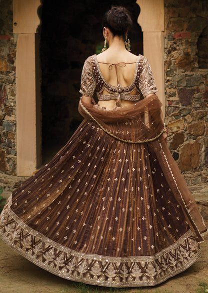 Brown Tissue Chiffon Lehenga Set