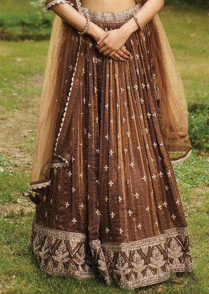 Brown Tissue Chiffon Lehenga Set